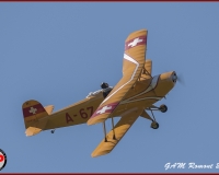TSR Watermark - 0484